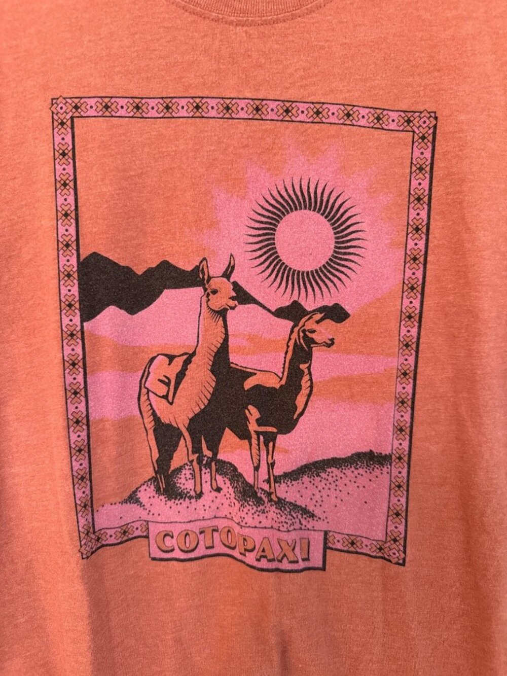 Cotopaxi Llama Greetings Organic T-Shirt Orange Llama Graphic Print Crewneck Sma - Picture 1 of 5